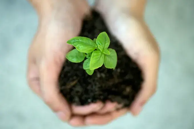 ESG in the Service of the Future: Science, Education, and Our Everyday Lives